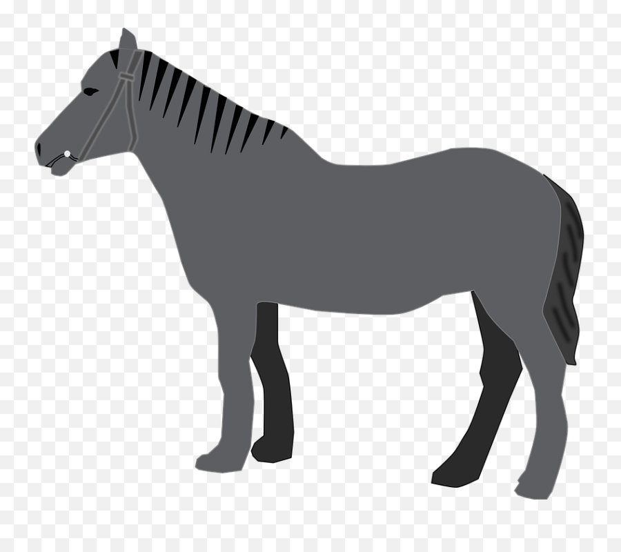 Unicorn Tail Horse Horn Silhouette - Transparent Png U0026 Svg Mustang Horse,Unicorn Png Transparent
