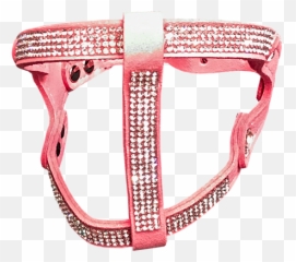 Luxury Dog Boutique U2014 Winter Coats Harnesses Unique - For Teen png
