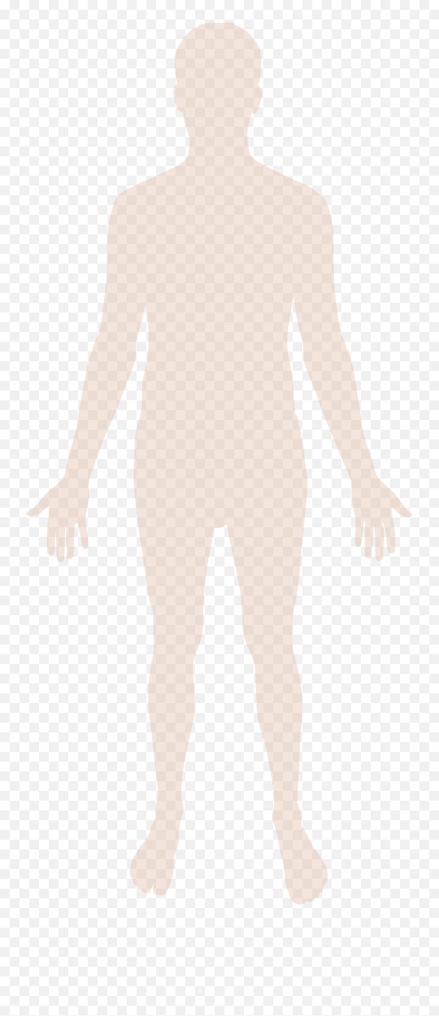 Human Figure Transparent Png Clipart Human Body Outline Svg Free Transparent Png Images Pngaaa Com