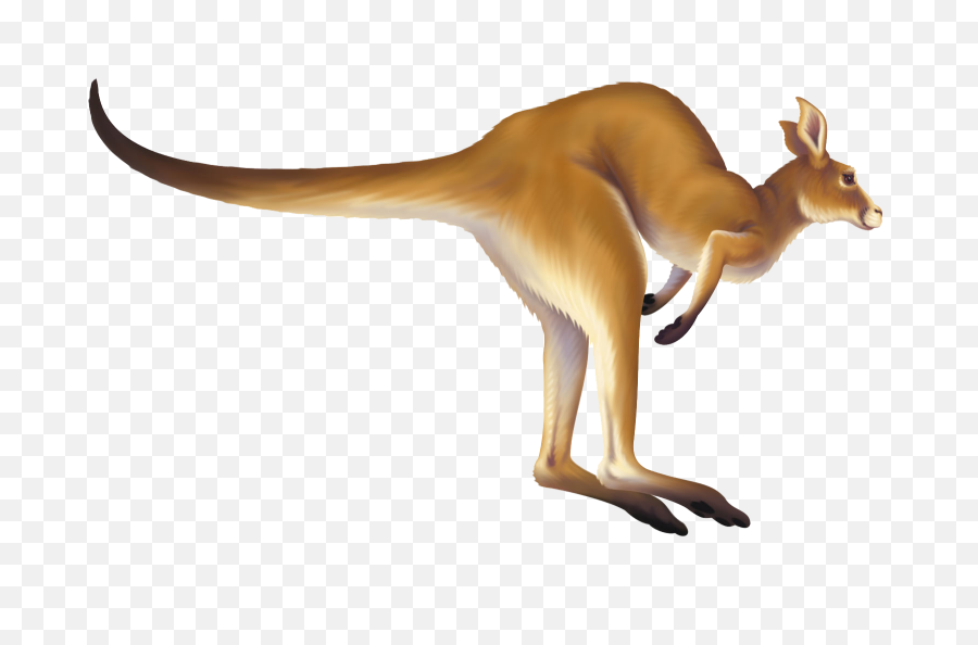 Kangaroo Gif Transparent Background - Animated Kangaroo Hopping Gif Png,Kangaroo Transparent Background