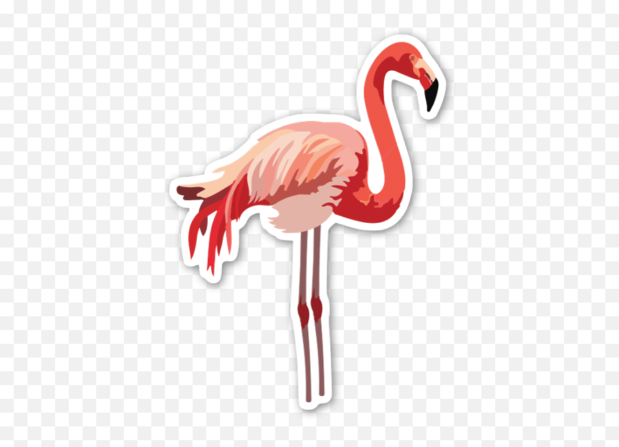 Flamingo - Stickerapp Flamingo Sticker Png,Flamingo Transparent Background