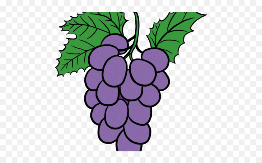 Grapes Clipart Pop Art - Cartoon Grapes Png,Grapes Png - free transparent  png images 