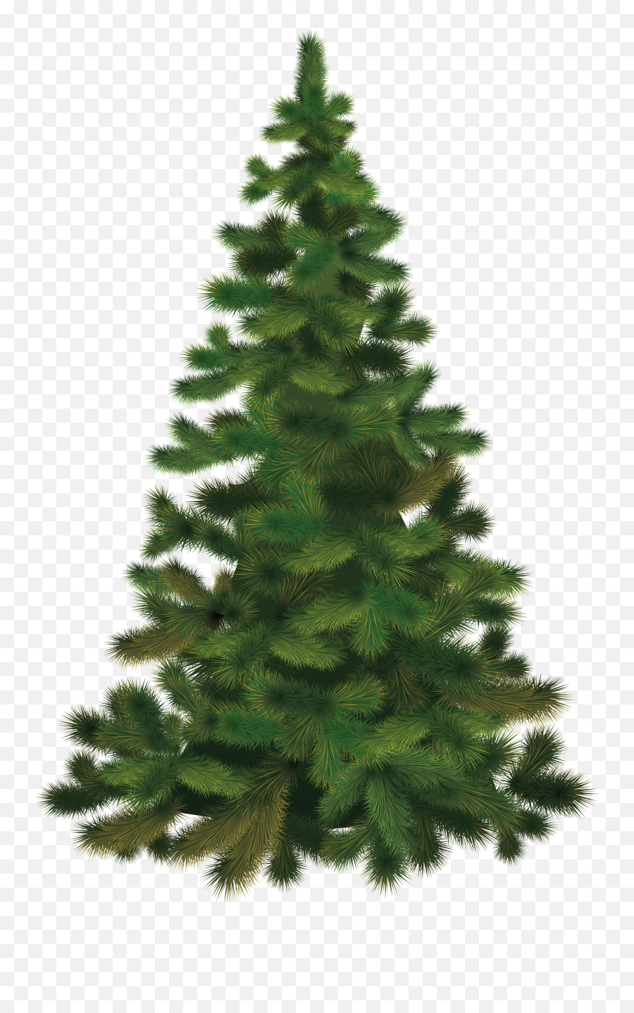 Pine Tree Evergreen Clip Art Png Transparent Background