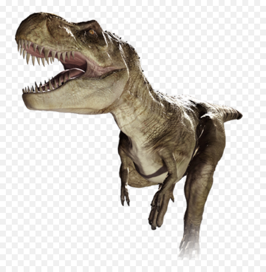 Download T - High Resolution T Rex Transparent Png,Tyrannosaurus Rex Png