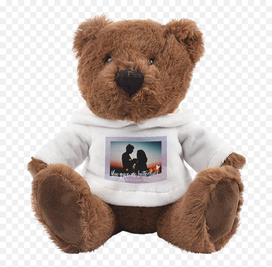 Fluttershy - Teddy Bear Png,Fluttershy Png