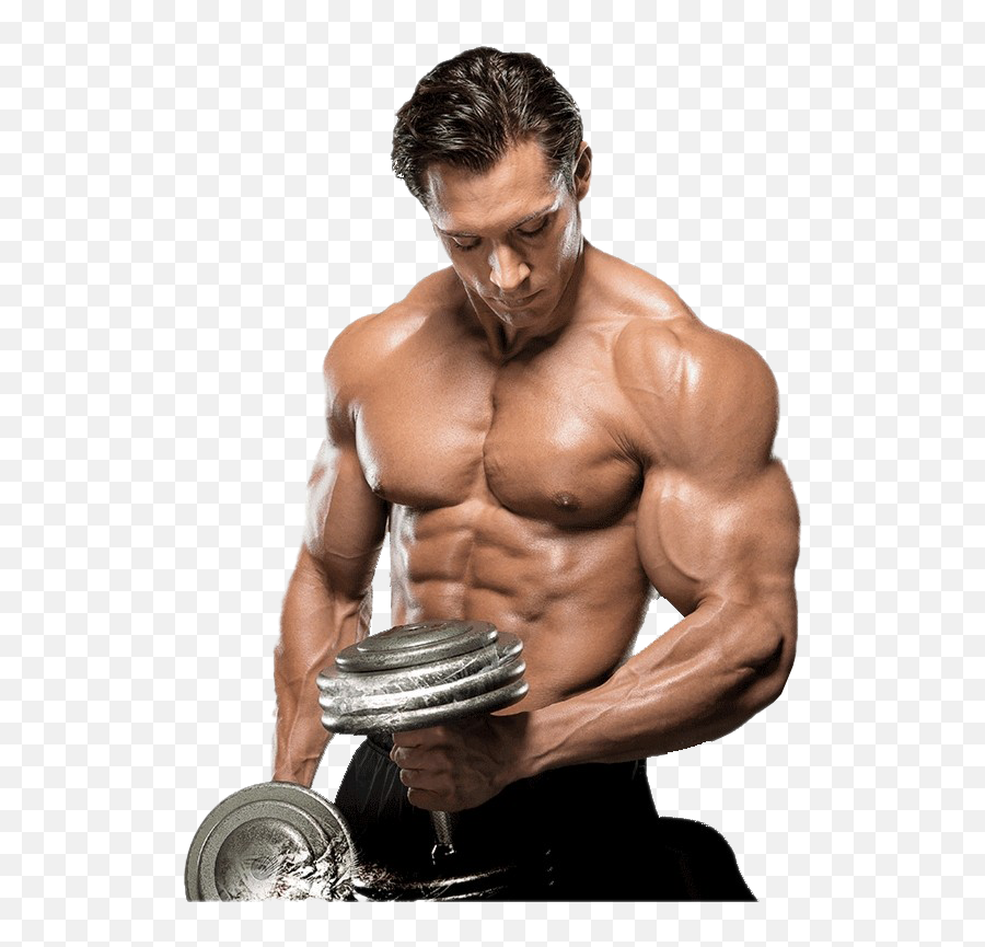 Bodybuilding Background Png Image Play - Workout Bodybuilding Dwayne Johnson,Muscle Arm Png