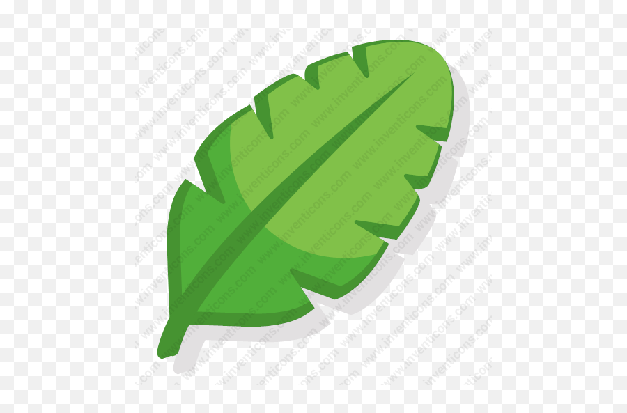 Download Leaf Vector Icon - Illustration Png,Leaf Vector Png