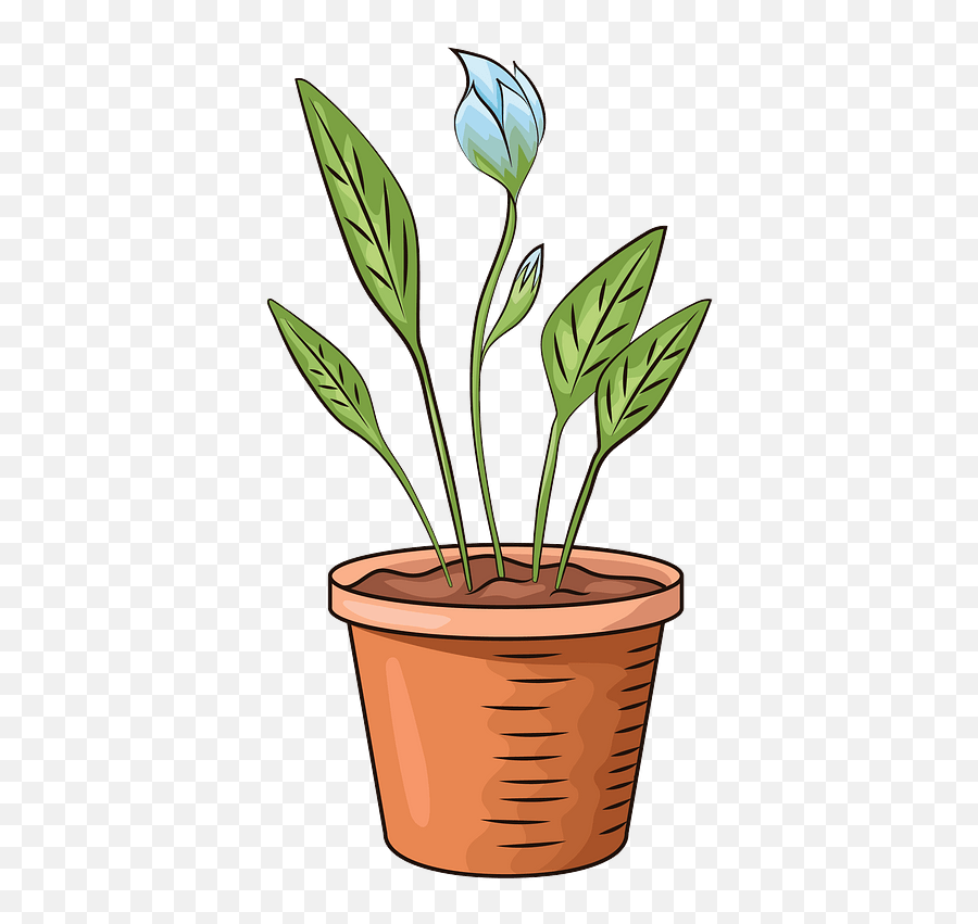 Flower In Pot Clipart Free Download Transparent Png - Pot With Flower Transparent Clipart,Flower Pot Png