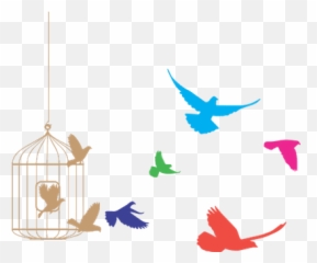 Bird Cage Transparent Png - Birds Flying Clipart