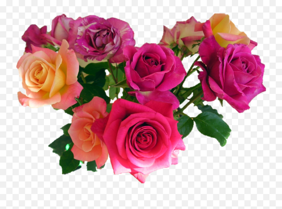 Bouquet Of Roses Hd - Rose Flower Bouquet Png,Pink Roses Png