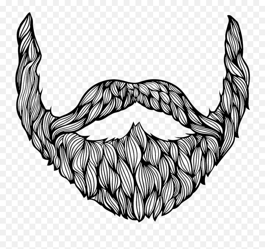 Beard Drawing - Beard Sketch Png,White Beard Png