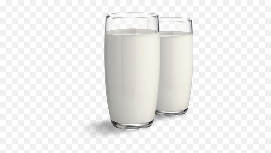 Brands Wyeth Corporate Philippines - Pint Glass Png,Milk Glass Png