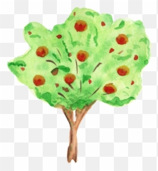 12 Watercolor Tree Transparent - Fruit Trees Png