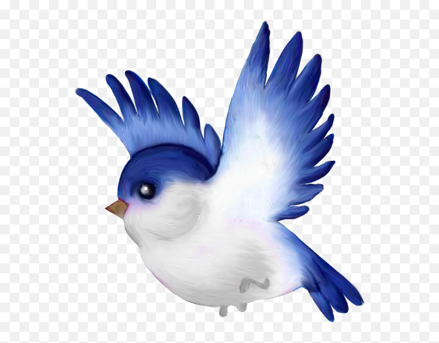 Download Oiseaux Birds Png Pinterest Oiseauxbirdspng - Bird Pretty Bird Clipart,Cartoon Bird Png