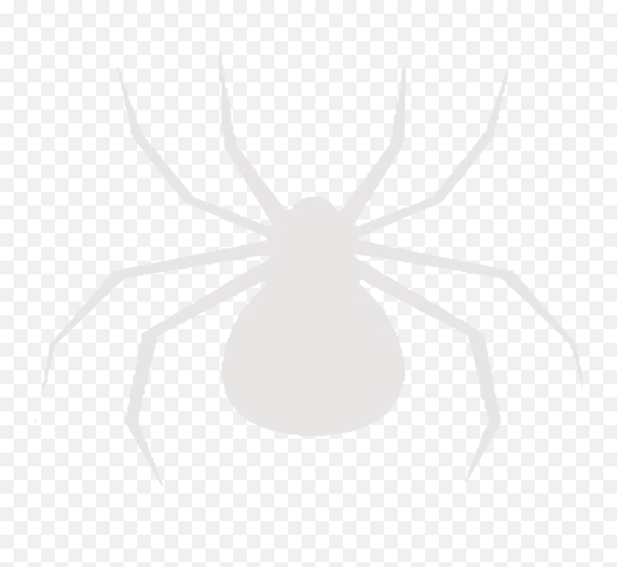 Spider Metaphor - Insect Png,Transparent Spiders