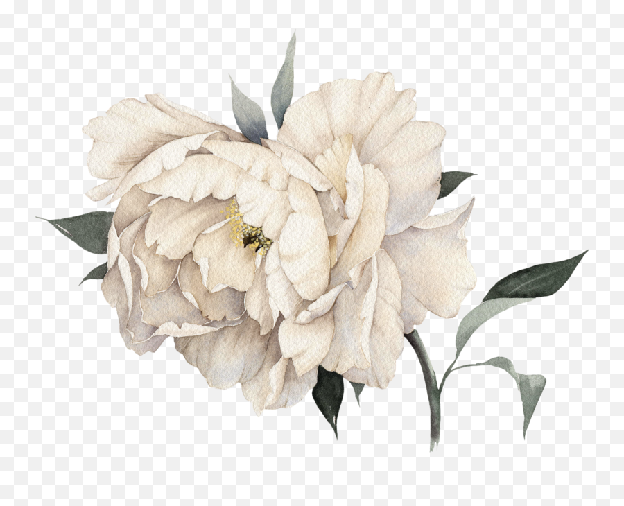 Download Pink Mademoiselle No Peony Light Perfume Coco Hq - White Flower Painting Png,Coco Png