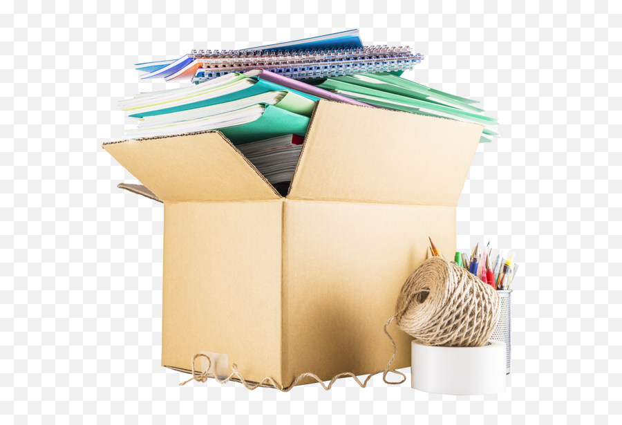 Download Corporate Moving - Armadillo Full Size Png Image Box,Armadillo Png