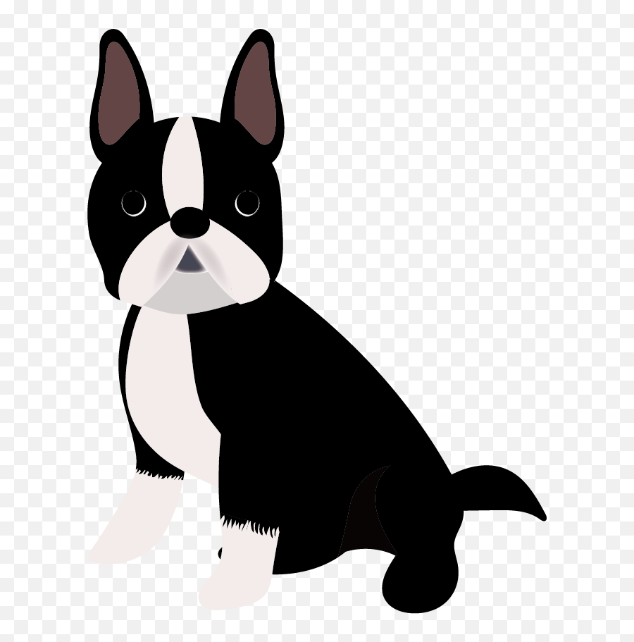 Boston Terrier Puppy Dog Breed - French Bulldog Cartoon Png,Boston Terrier Png