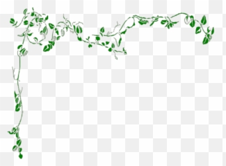 Border Clip Art - Ivy png