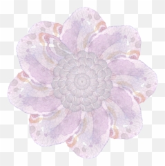 Simple Watercolor Decoration Flower Png - Echeveria,Simple Flower Png