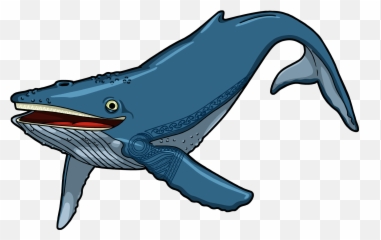 Device Visitation Analytics Data - Fish png