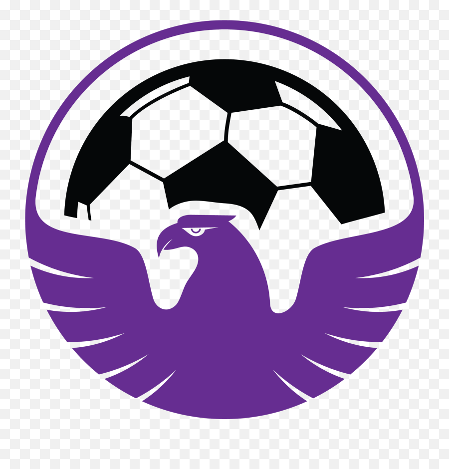 Albion Raptors Fc Vs Roy - Hart Soccer Eleven Sins Of A Solar Empire Logo Png,Soccer Team Icon