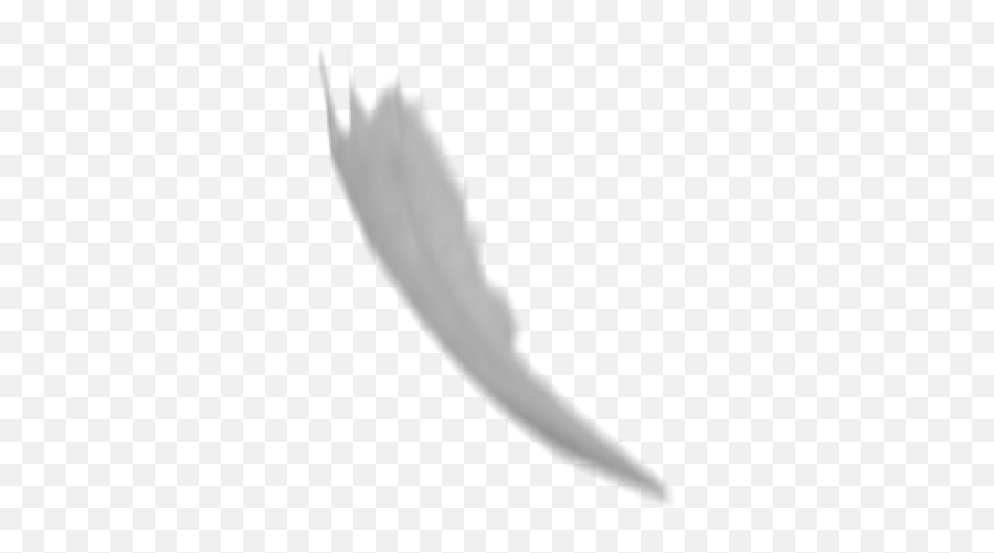Feather Drop Multi 2 Vfx Downloads Footagecrate - Free Hd Language Png,Phone Icon Brushes Photoshop