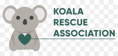 Koala Rescue Association U2014 Candice Athey Designs - Calpine Corporation Png,Koala Png