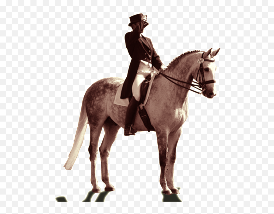 Download Pintado Caballo Png - Homem Montado No Cavalo Png,Caballo Png