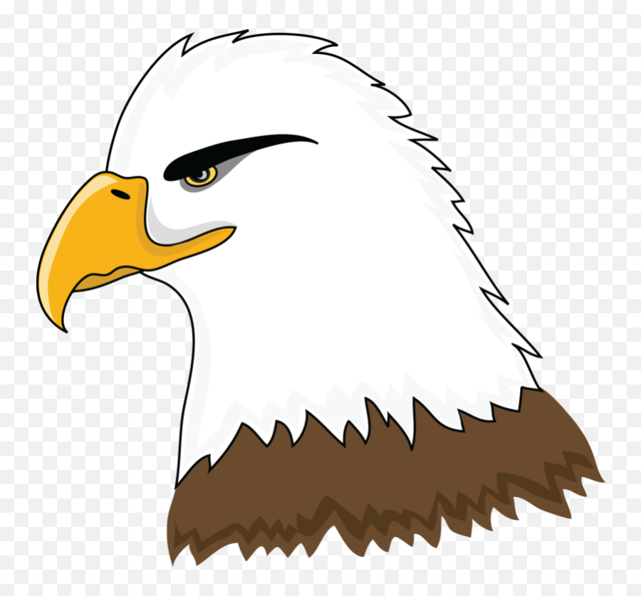 Library Of Banner Stock Bald Eagle Png Files - Clip Art Bald Eagle,Bald Eagle Transparent