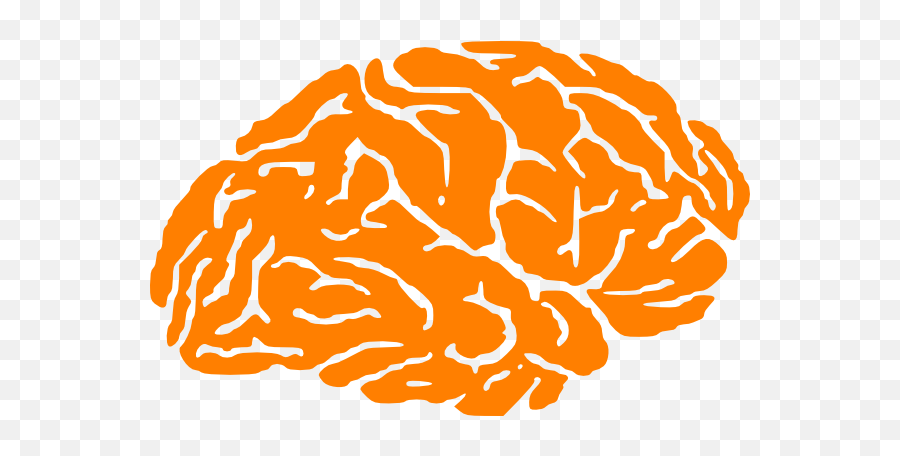 Brain Logo Png 1 Image - Brain Silhouette Png,Brain Logo