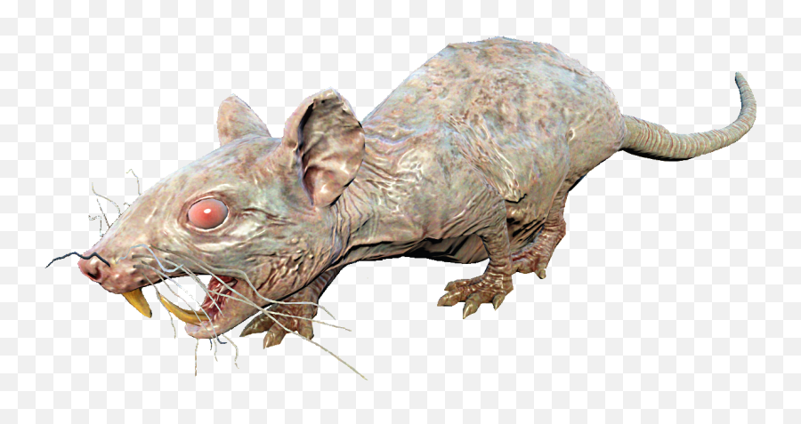 Dead Rat Png Picture - Fallout 4 Rad Rat,Rats Png