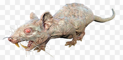 Dead Rat Png Picture - Fallout 4 Rad Rat,Rats Png