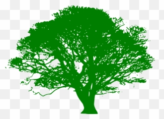 Maple Tree Png 900px Large Size - Clip arts free and png Vector Black And White