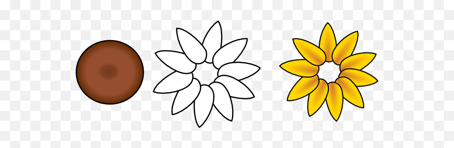 First - Layerflowerpetalshipng Clipartsco Flower Petals Sunflower Drawing,Flower Petals Png