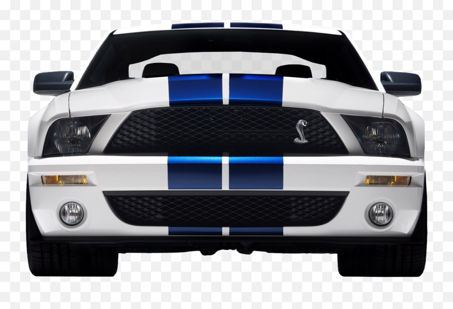 Imgs For Ford Mustang Car Silhouette - Ford Mustang Shelby Gt500 2008 Front Png,Mustang Png Imgs For Ford Mustang Car Silhouette - Ford Mustang Shelby Gt500 2008 Front Png,Mustang Png
