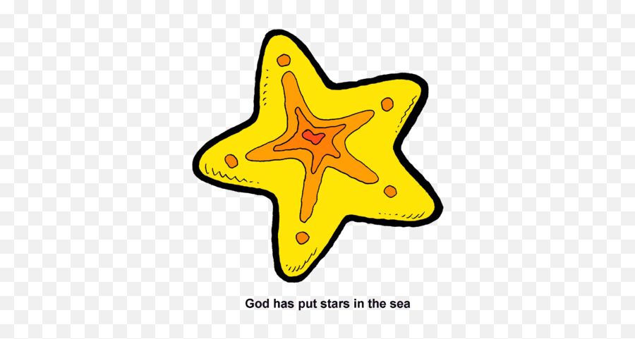 Sea Stars - Clip Art Png,Sea Star Png