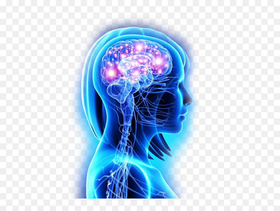 Neural Zoomer Test For Autoimmune - Female Brain Png,Nervous System Png