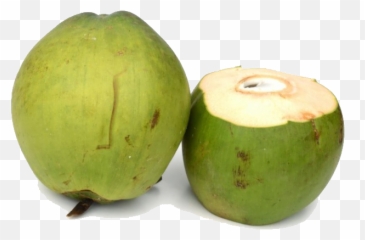 Download Coco - Coco Verde Em Png Png Image With No Transparent Background Côco Verde Png,Coco Png