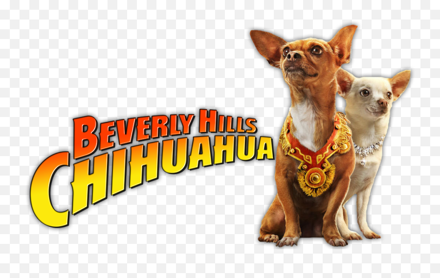 Beverly Hills Chihuahua Image Clipart - Beverly Hills Chihuahua Png,Chihuahua Png