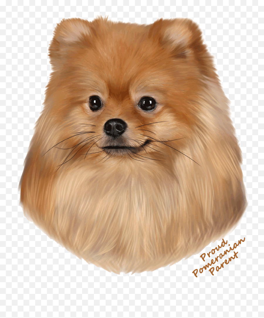 Pomeranian T Shirt - Proud Parent Northern Breed Group Png,Pomeranian Png