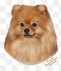Pomeranian T Shirt - Proud Parent Northern Breed Group Png,Pomeranian Png