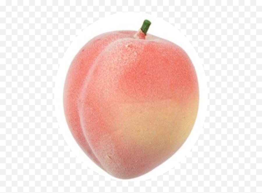 Peach Fruit Foam Rubber Pink - Nectarine Png,Peach Transparent Background