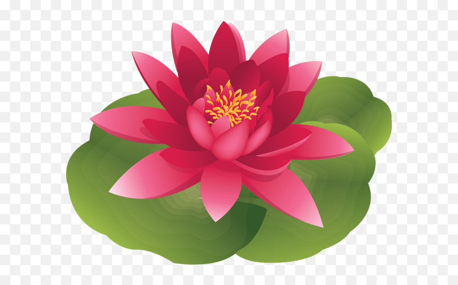 Lily Clipart Animated - Water Lily Flower Cartoon Png,Lily Pad Png