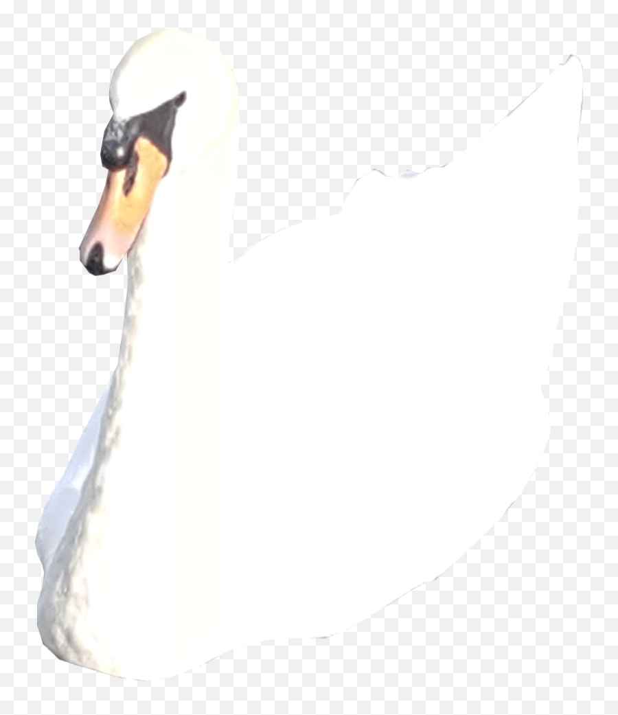 White Swan No Backround Png Image Transparent Web Design - Tundra Swan,Duck Transparent Background
