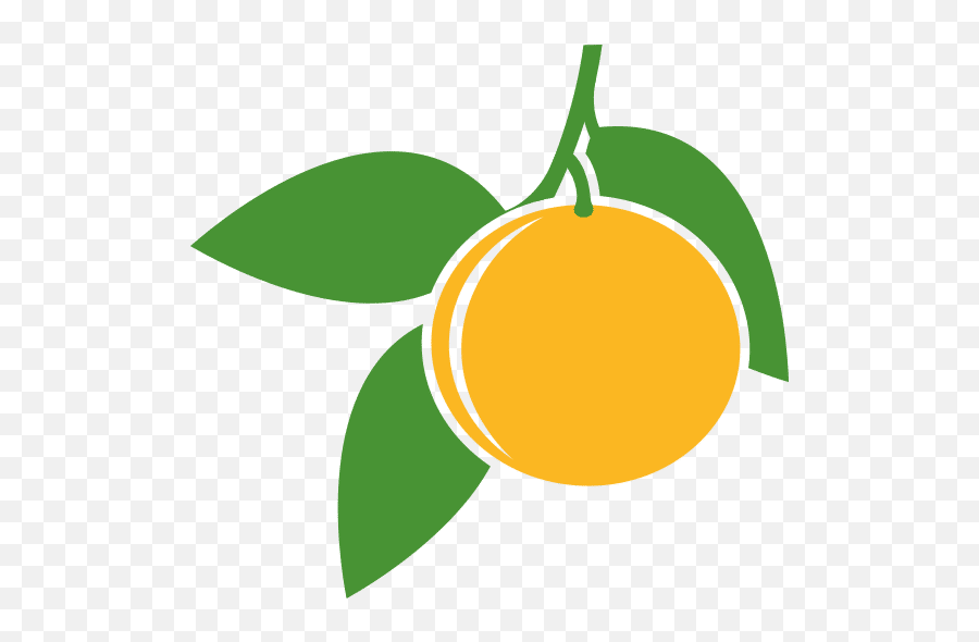 Oleggur U2013 Canva - Bergamot Orange Png,Grapefruit Icon