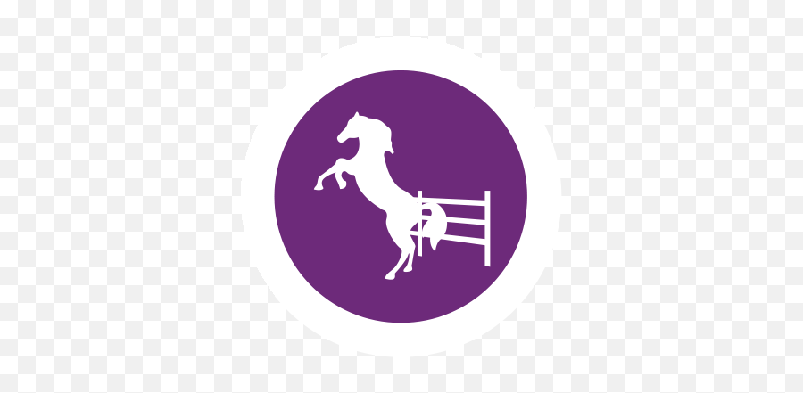 Confidence Eqr - Neighbourhood Png,Horse Rider Icon