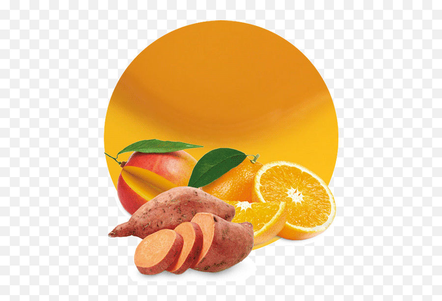 Sweet Potato Png - Valencia Orange,Potato Png