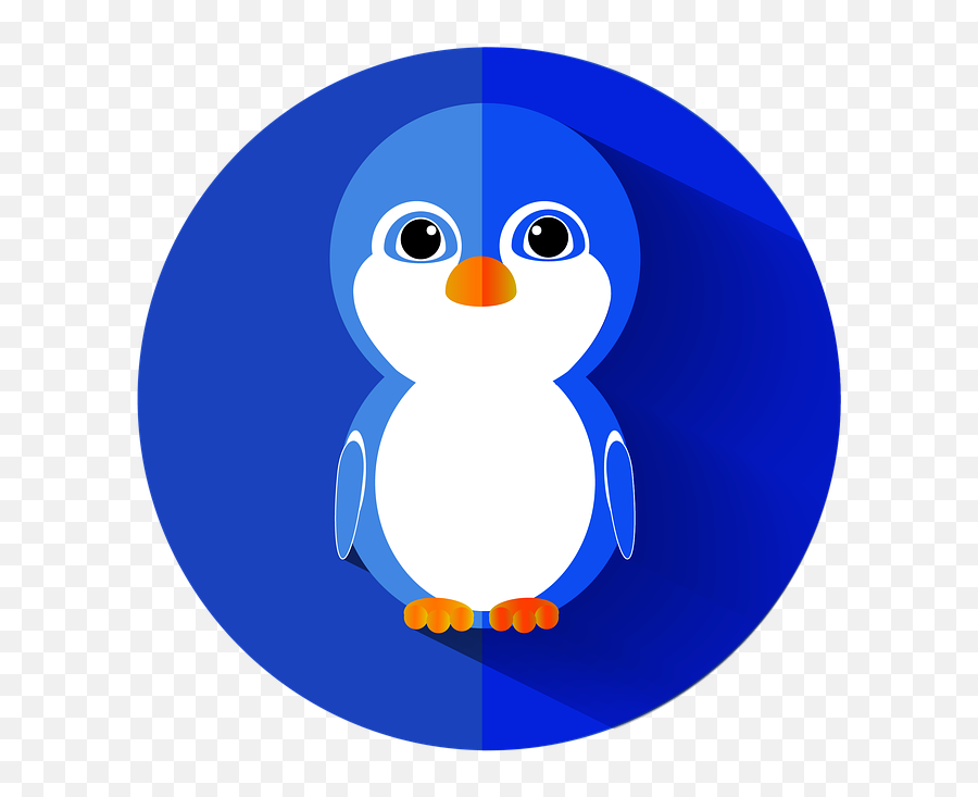 Penguin Bird Flat Icon - Ikon Lucu Png,Facebook Icon Penguin