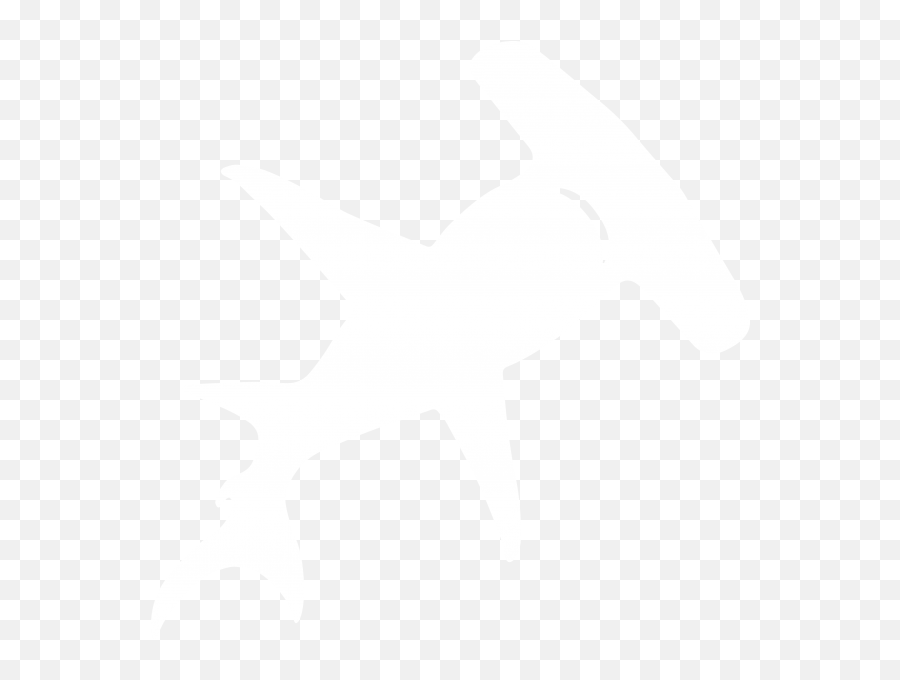 Teamheidelbergmodellingaptakinetics - 2015igemorg Shark White Icon Png,Shark Icon Png